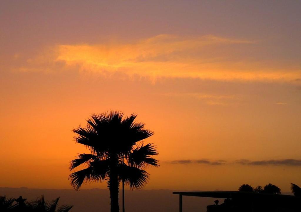 Beach-Front Tenerife Sth Sea And Pool View Apartment Costa Del Silencio Exterior photo