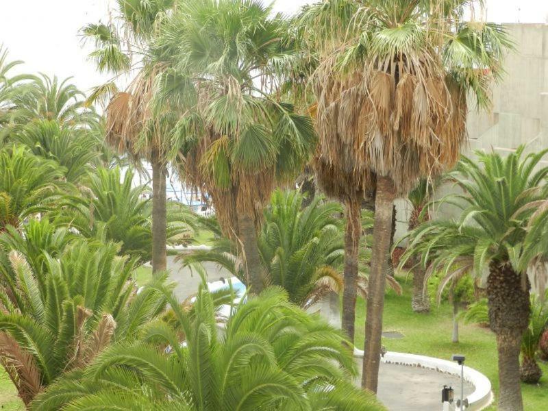 Beach-Front Tenerife Sth Sea And Pool View Apartment Costa Del Silencio Exterior photo