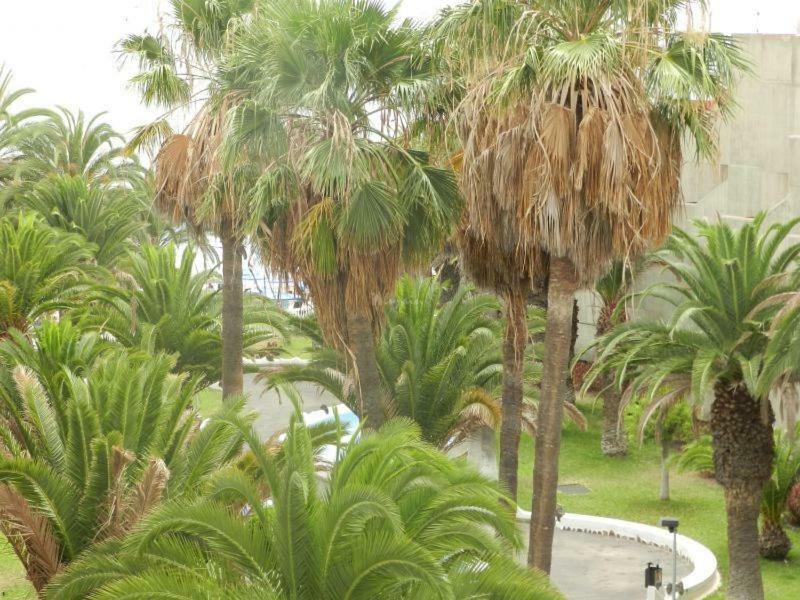 Beach-Front Tenerife Sth Sea And Pool View Costa Del Silencio Exterior photo